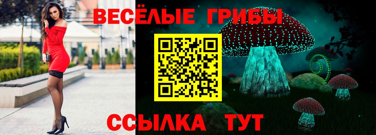 Псилоцибиновые грибы Psilocybe Луховицы